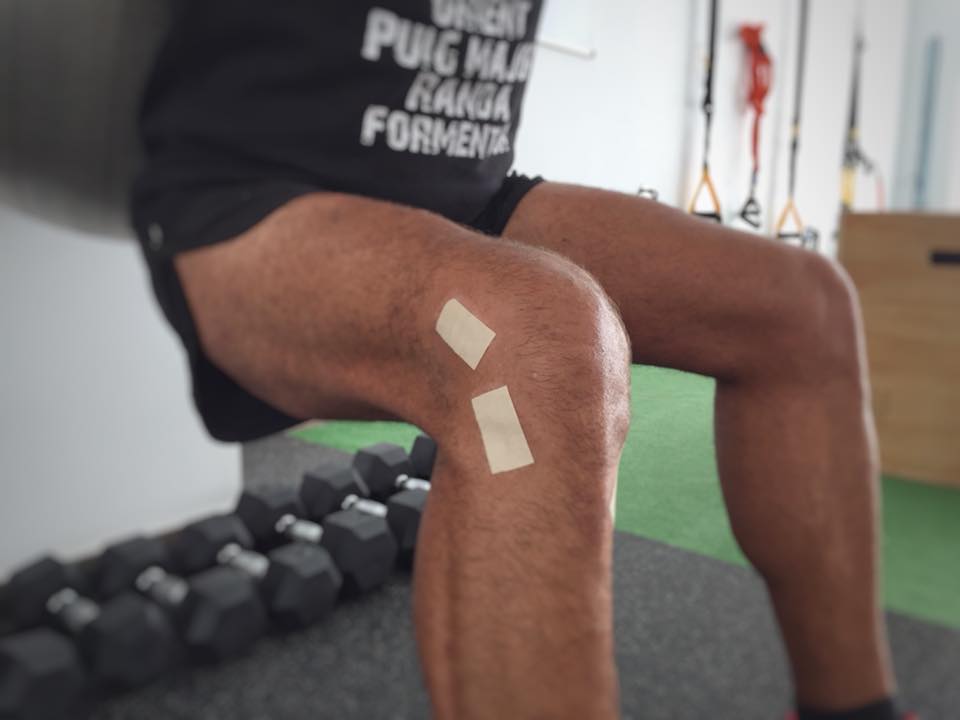 39981498 2325710980779301 8372411566657634304 n